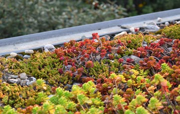 the cost of Darland green roof installation