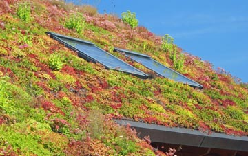 Darland living roof systems