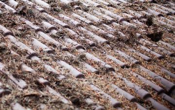 Darland roof cleaning companies