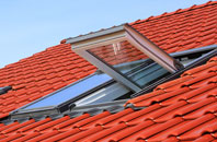 Darland roof window